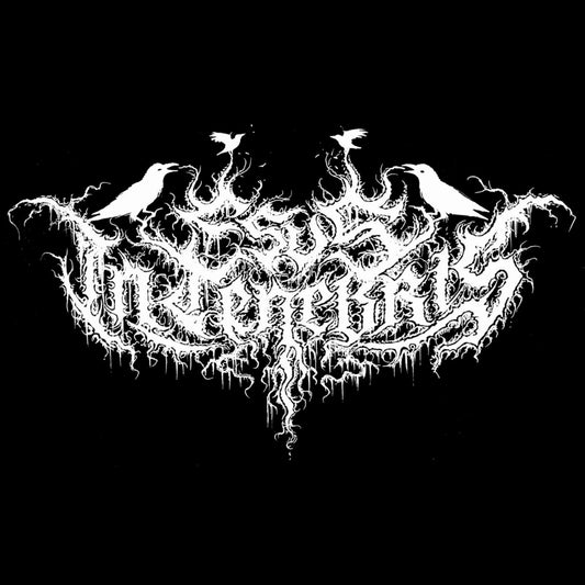 Esus In Tenebris - Chamber Of Shadows - CD - Adirondack Black Mass