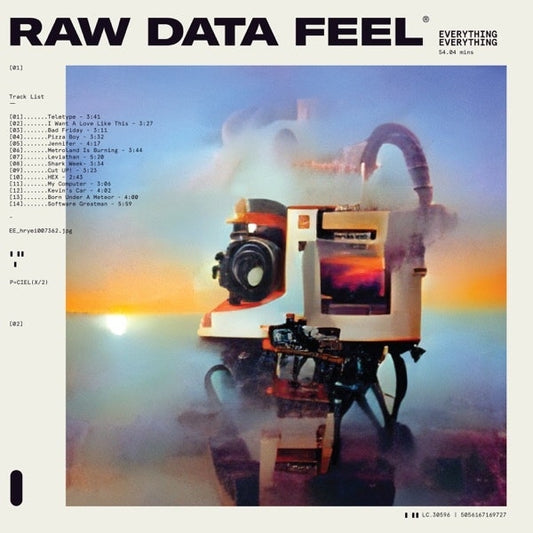 Everything Everything - Raw Data Feel - LP Gatefold - Infinity Industries