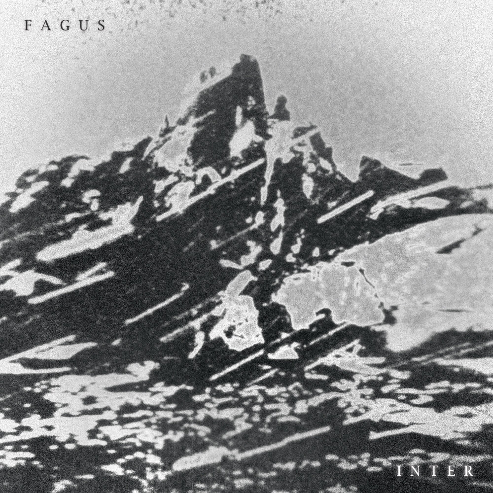 Fagus - Inter - CD DIGIPAK - Silent Future Recordings