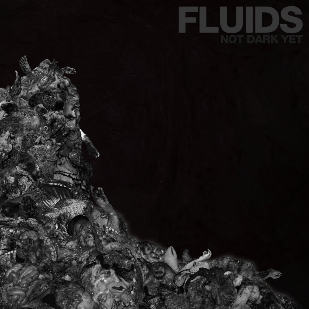 Fluids - Not Dark Yet - CD - Hells Headbangers Records