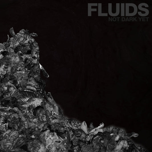 Fluids - Not Dark Yet - CD - Hells Headbangers Records