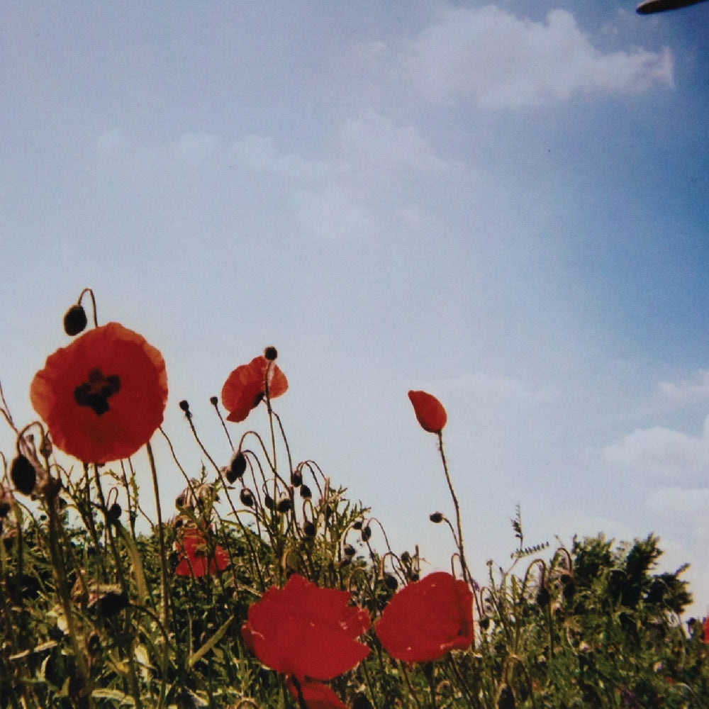 Fluisteraars - Bloem - LP - Eisenwald - Image 2