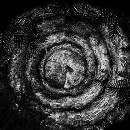 Forhist - Forhist - CD DIGIPAK - Debemur Morti