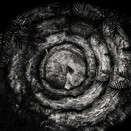 Forhist - Forhist - CD DIGIPAK - Debemur Morti