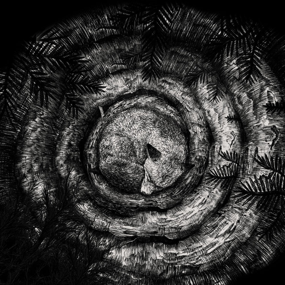 Forhist - Forhist - LP Gatefold - Debemur Morti