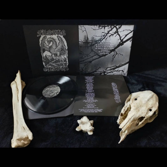 Frozen Graves - An Age Of Emptiness - LP - Amor Fati