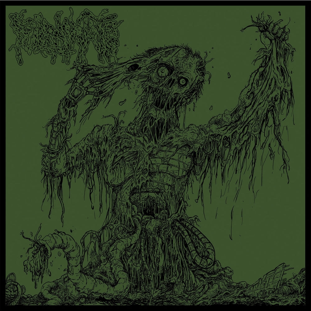 Fulminate - Agony Resonates Pleasantly - CD - Adirondack Black Mass