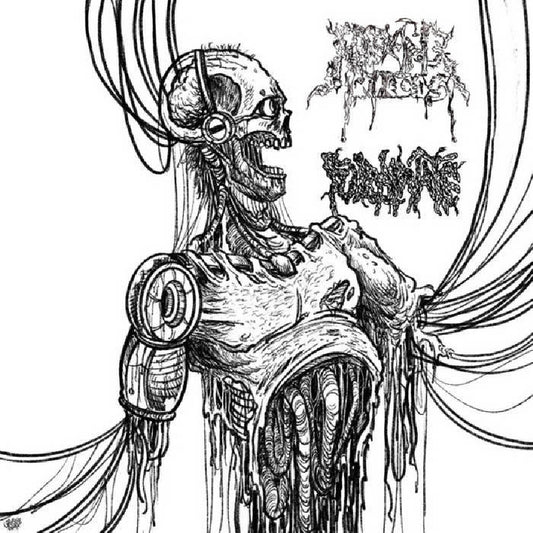 Fulminate - Reeking Pieces - Split - CD - Adirondack Black Mass