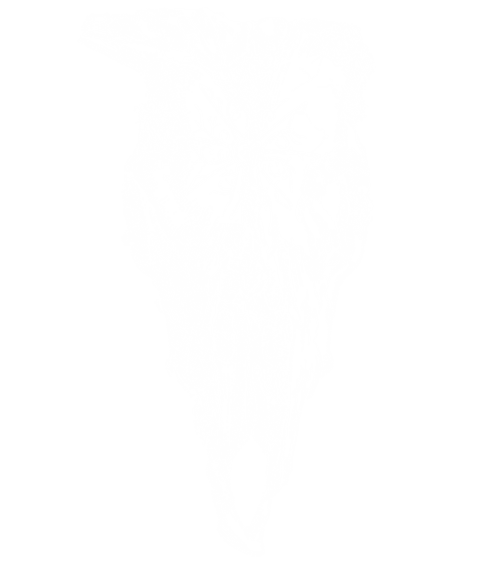 4831-0