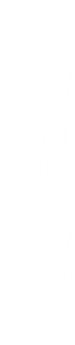 3493-0