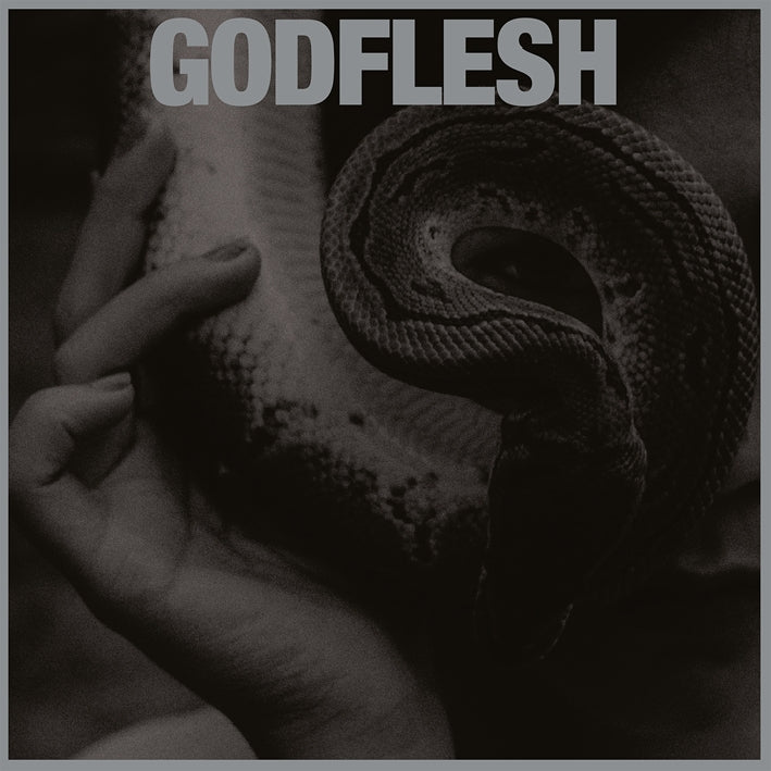 Godflesh - Purge - LP COLOURED - Avalanche Recordings - Image 2