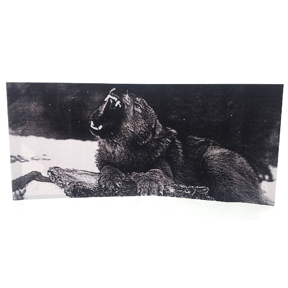 Grieve - Funeral - CASSETTE - Werewolf Records - Image 3