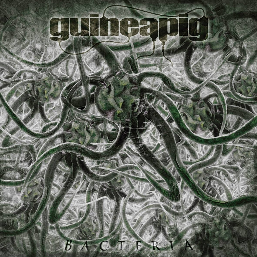 Guineapig - Bacteria - CD - Rotten Roll Rex