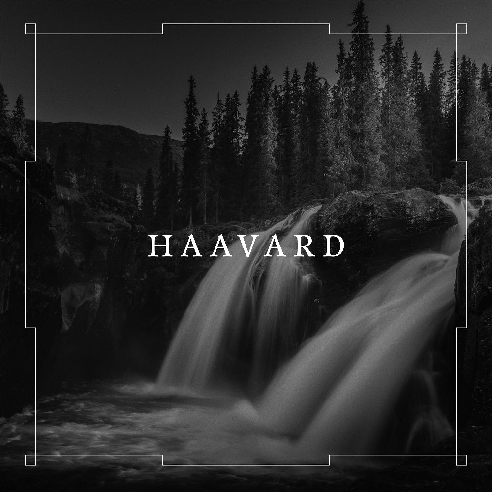 Haavard - Haavard - CD DIGIPAK - Auerbach