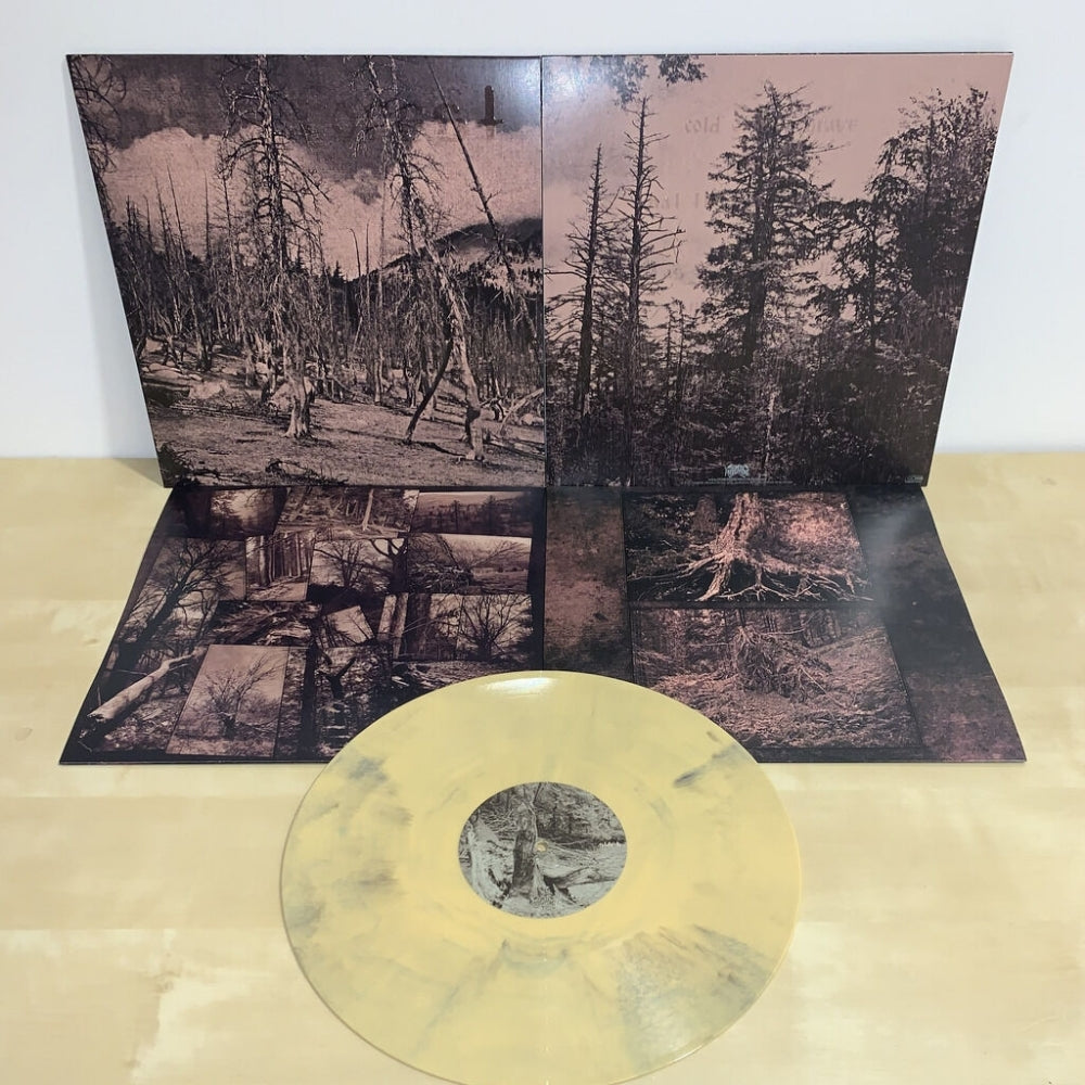 Hate Forest - Sorrow - LP COLOURED - Osmose Productions - Image 2