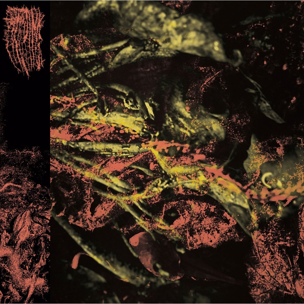 Hissing - Permanent Destitution - LP - Profound Lore