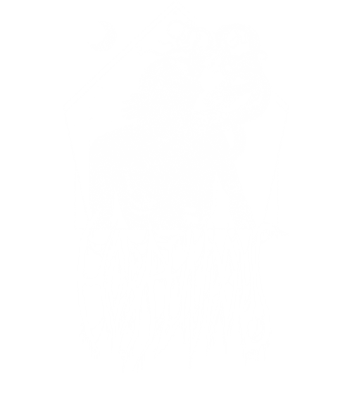 3738-0