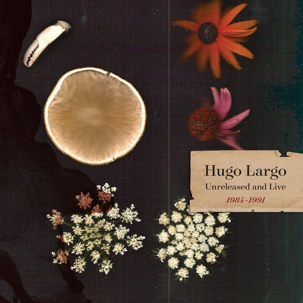 Hugo Largo - Huge, Large and Electric: Hugo Largo 1984-1991 - 2CD BOX - Missing Piece Records
