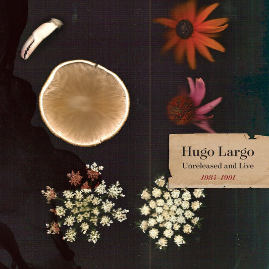 Hugo Largo - Huge, Large and Electric: Hugo Largo 1984-1991 - 2CD BOX - Missing Piece Records