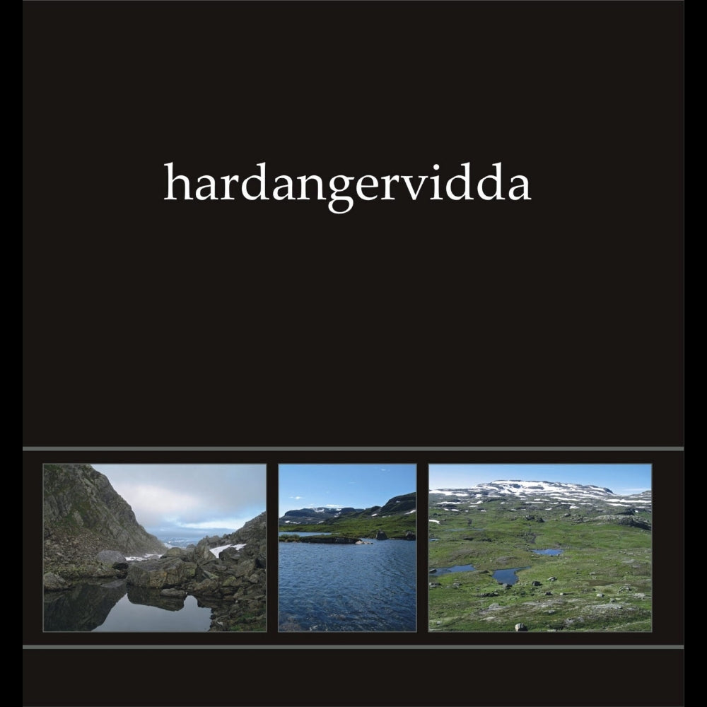 Ildjarn-Nidhogg - Hardangervidda I - LP COLOURED - The Devil's Elixirs Records