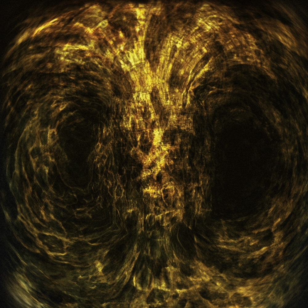Impetuous Ritual - Iniquitous Barbarik Synthesis - DOUBLE LP - Profound Lore - Image 2
