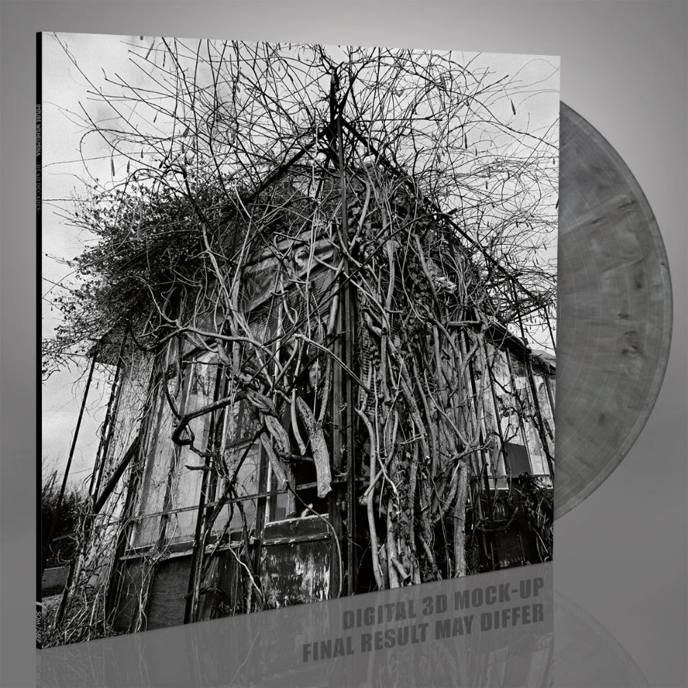 Impure Wilhelmina - Dead Decades - LP COLOURED - Season of Mist
