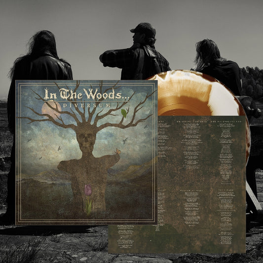 In The Woods - Diversum - LP COLOURED - Soulseller