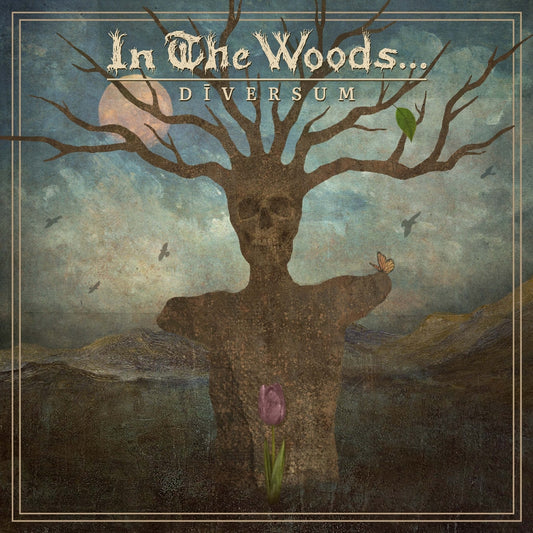 In The Woods - Diversum - LP COLOURED - Soulseller - Image 2