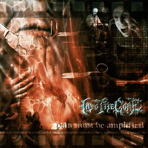 Into The Gore - Pain must be amplified - CD - Metal Age