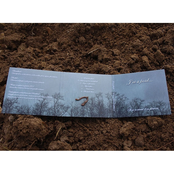 J'ai si froid... - Si ça continue il va pleuvoir - CD DIGIPAK - Transcendance - Image 3