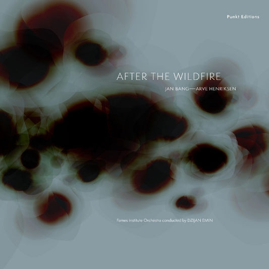 Jan Bang & Arve Henriksen - After The Wildfire - CD - Jazzland