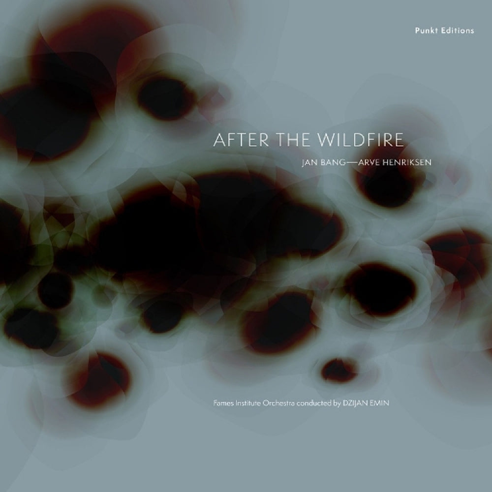 Jan Bang & Arve Henriksen - After The Wildfire - LP - Jazzland
