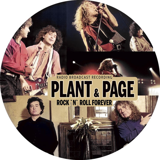 Jimmy Page & Robert Plant - Rock'N'Roll Forever (Radio Broadcast Recording) - 10" Vinyl Picture - Laser Media