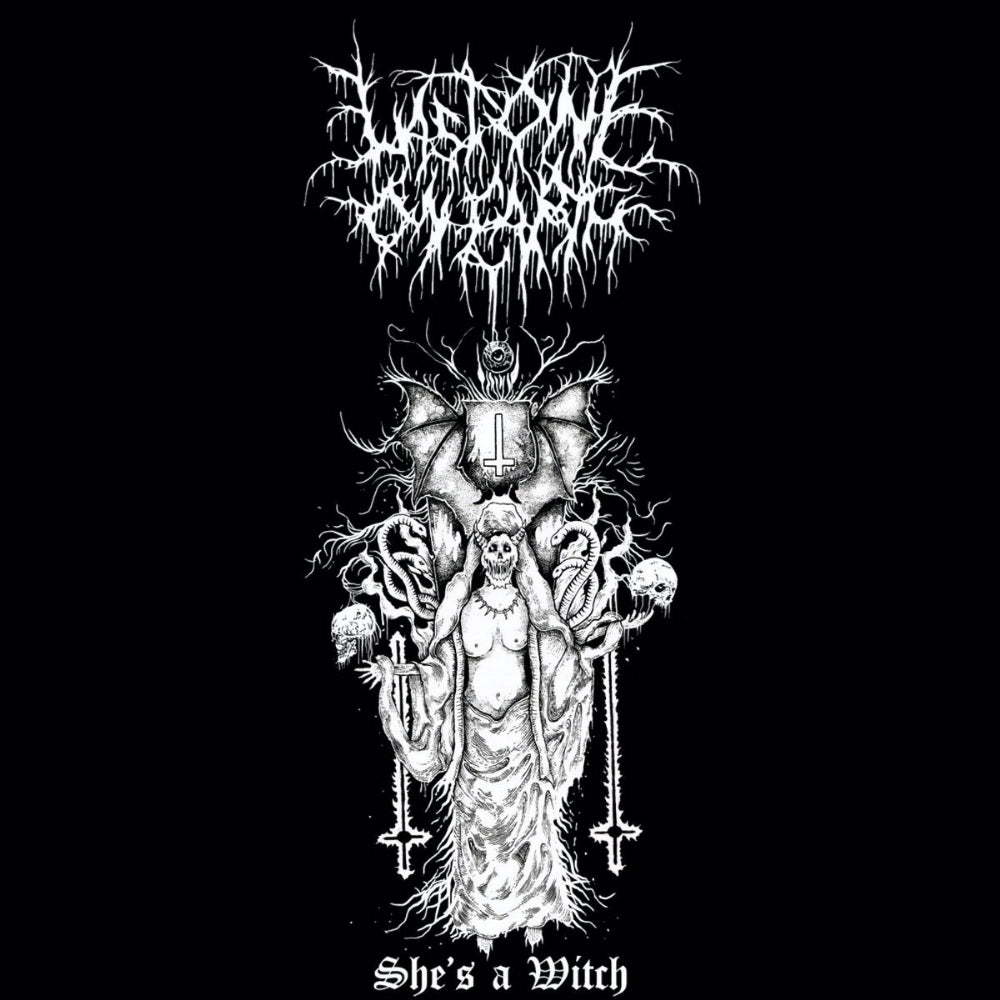 Last One On Earth - She's A Witch - 7" vinyl - Adirondack Black Mass