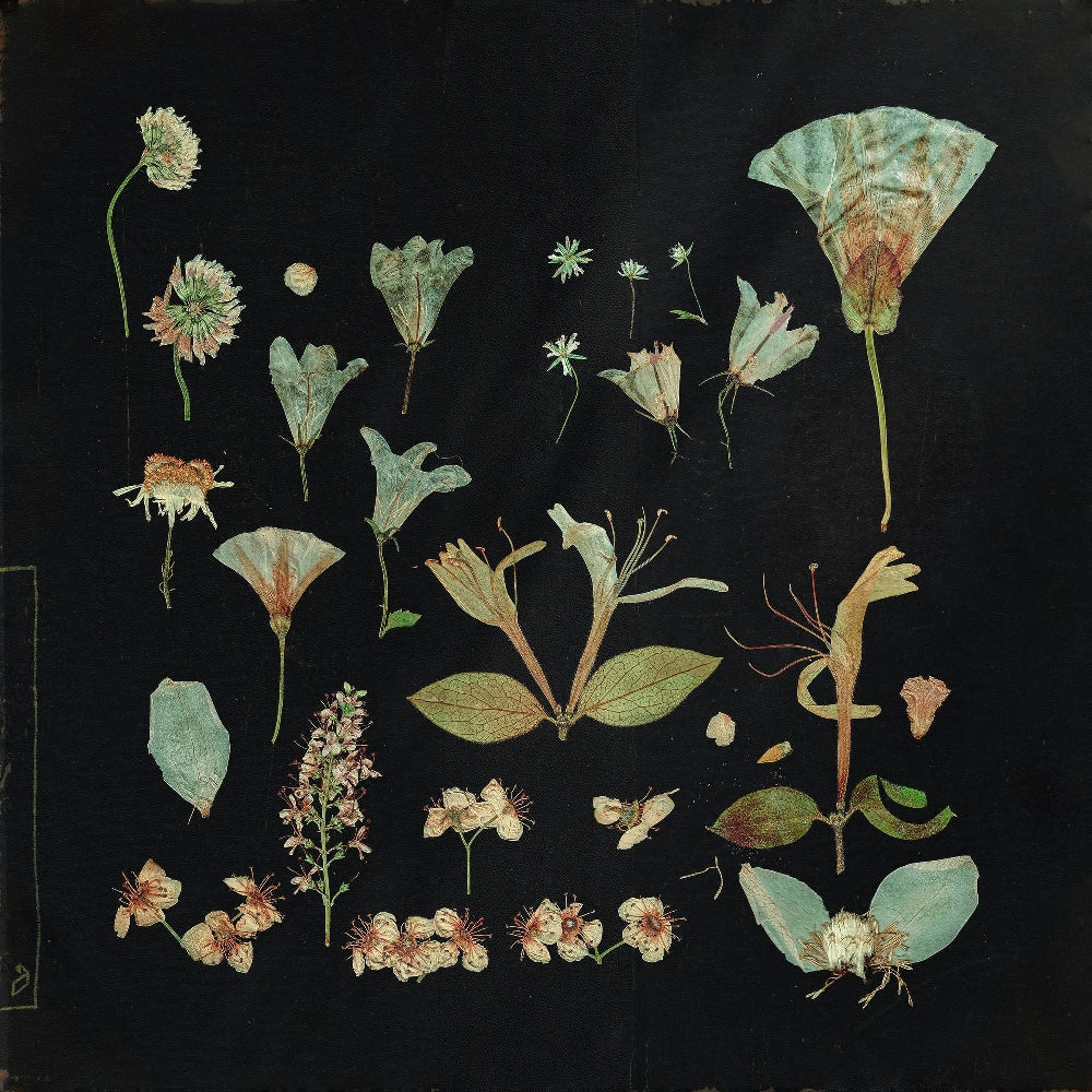 Leaving Laurel - When The Quiet Comes - DOUBLE LP GATEFOLD - Anjunadeep