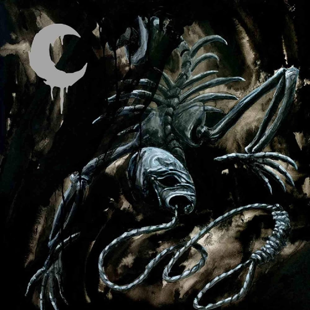 Leviathan - A Silhouette In Splinters - DOUBLE LP GATEFOLD COLOURED - Moribund Records - Image 2