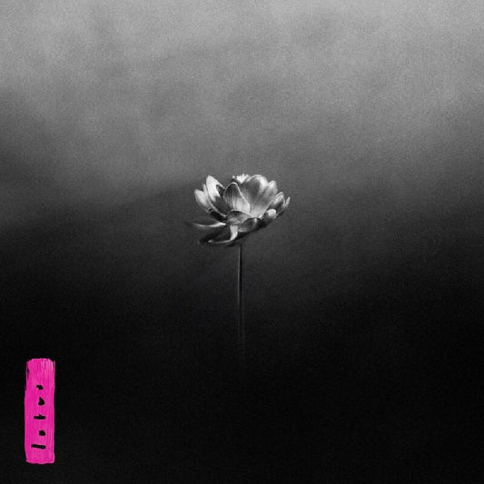 Little Simz - Lotus - CD - Little Simz