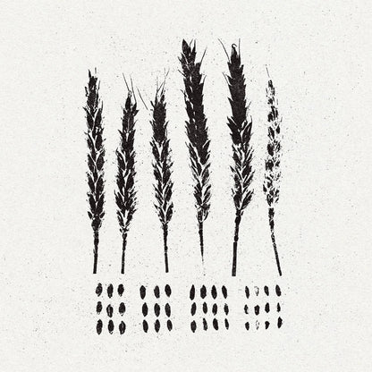 Lo! - The Gleaners - LP - Pelagic - Image 2