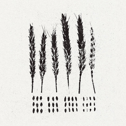 Lo! - The Gleaners - LP - Pelagic - Image 2