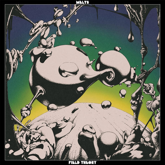 MELTS - Field Theory - LP COLOURED - Fuzz Club - Image 2