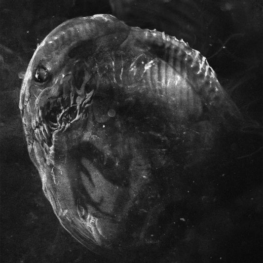 Madre - Embryo - CASSETTE COLOURED - Necrocosm