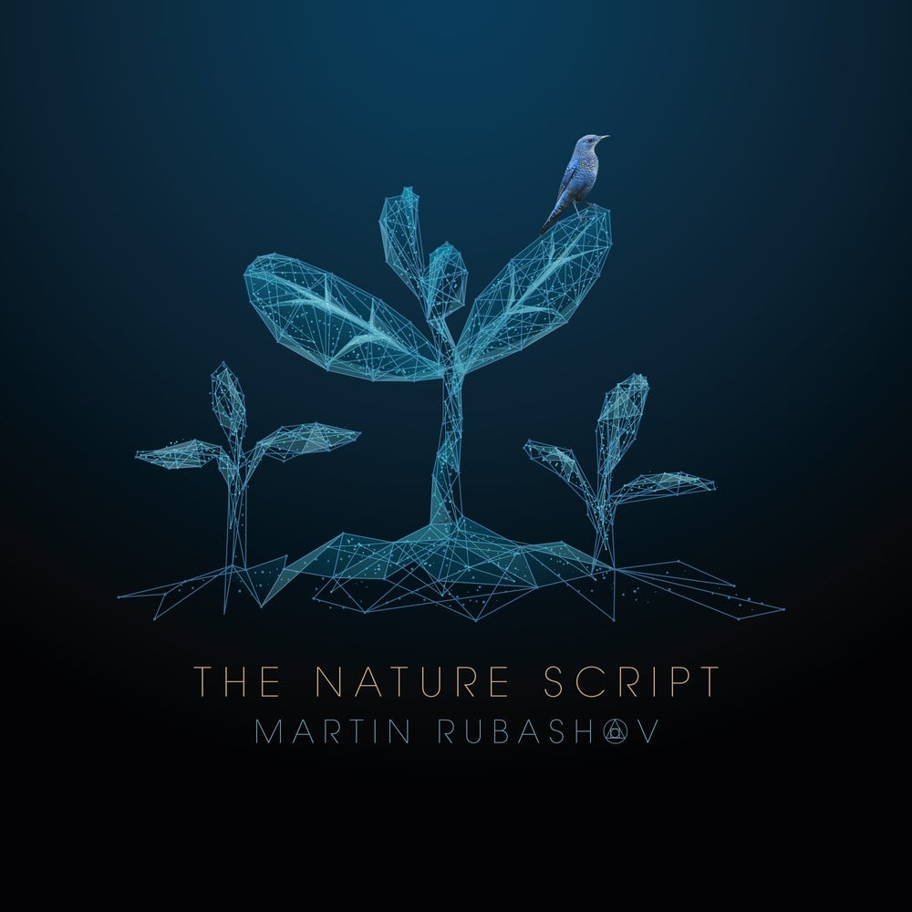 Martin Rubashov - The Nature Script - LP - Despotz Records