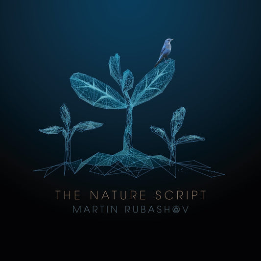 Martin Rubashov - The Nature Script - LP - Despotz Records