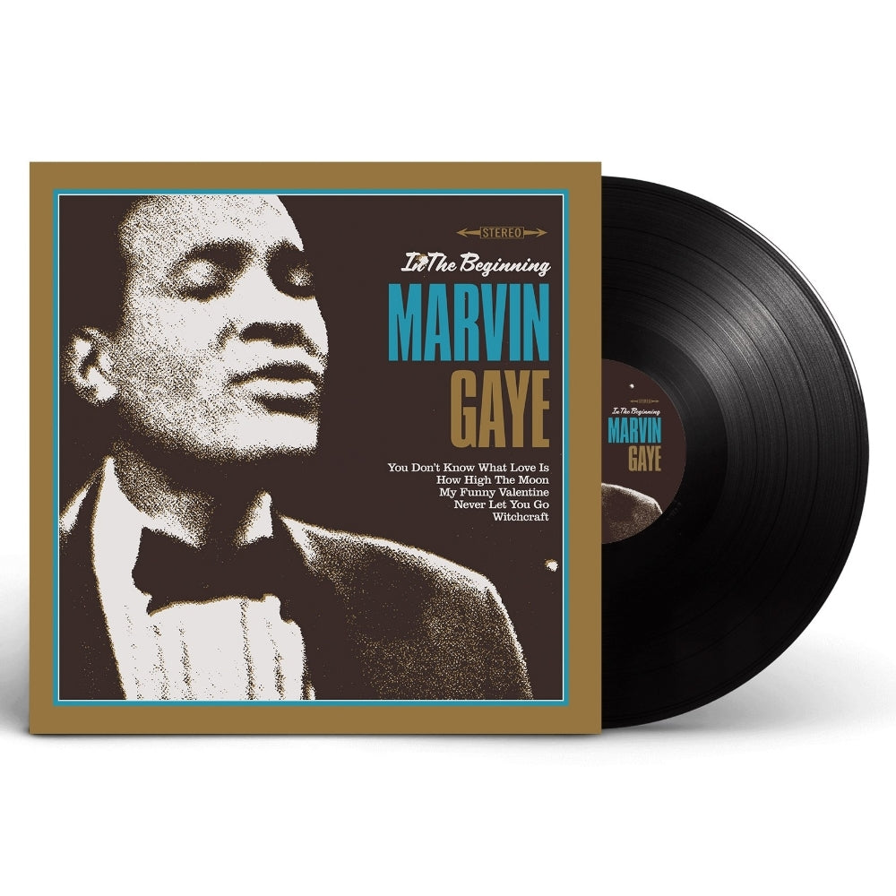 Marvin Gaye - In The Beginning - LP - Blue Day