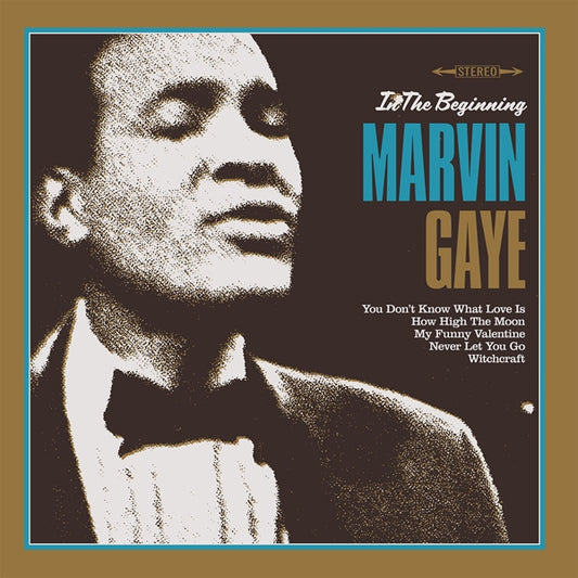 Marvin Gaye - In The Beginning - LP - Blue Day - Image 2