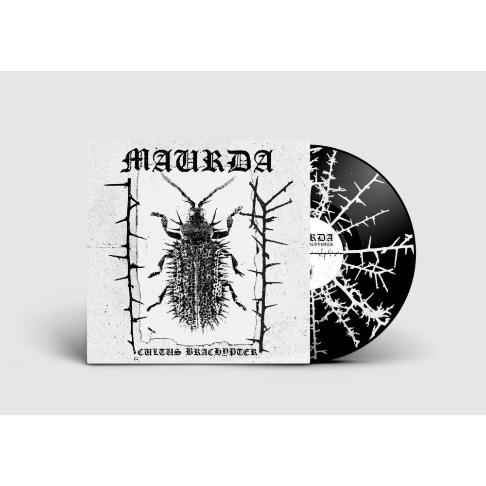 Maurda - Cultus Bachypter - LP - Sentient Ruin