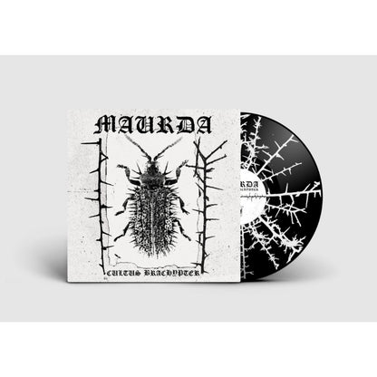 Maurda - Cultus Bachypter - LP - Sentient Ruin