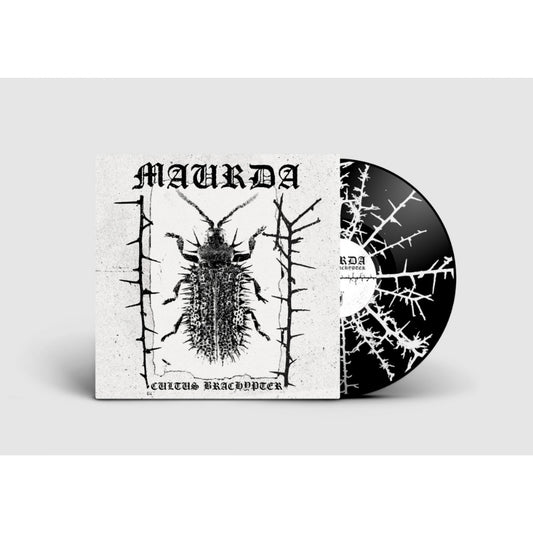 Maurda - Cultus Bachypter - LP - Sentient Ruin