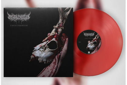 Mental Cruelty - Echoes Of A Forlorn Land - CD/Vinyl - Image 2 - 