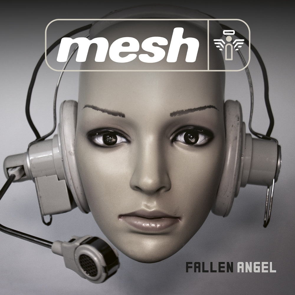 Mesh - Fallen Angel - CD/Vinyl - Image 1 - 